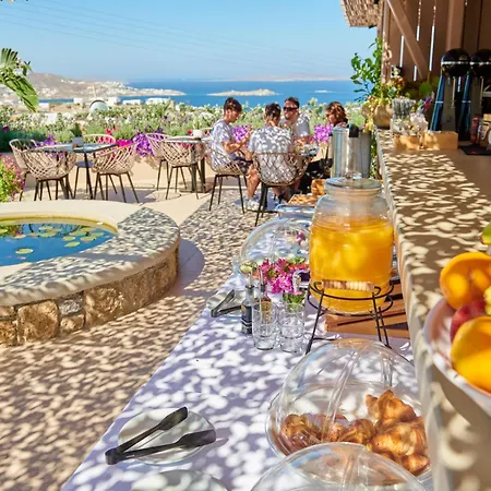 Apartament Kipos & Mykonos Town